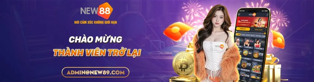 Đội ngũ Vicwin Link Mới làm việc cùng nhau